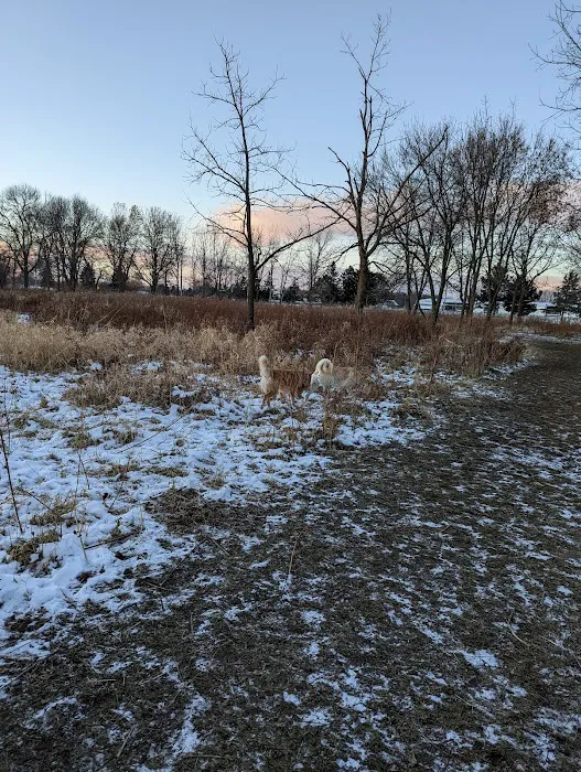 Best Friends Dog Park 9