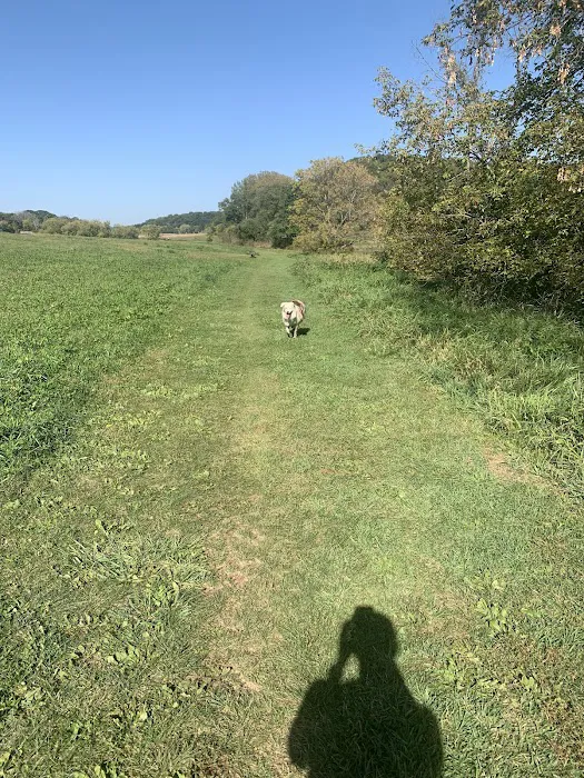 Indian Lake Dog Park 7