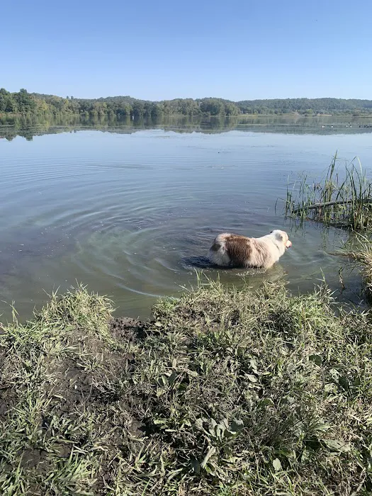 Indian Lake Dog Park 8