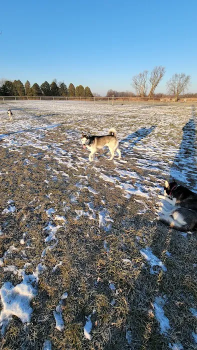 Winneconne Dog Park 8