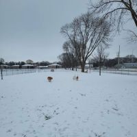 Winneconne Dog Park ico