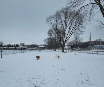 Winneconne Dog Park