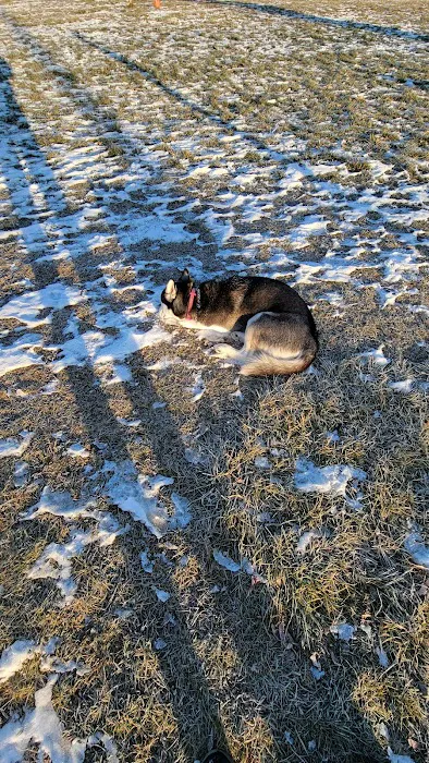 Winneconne Dog Park 7