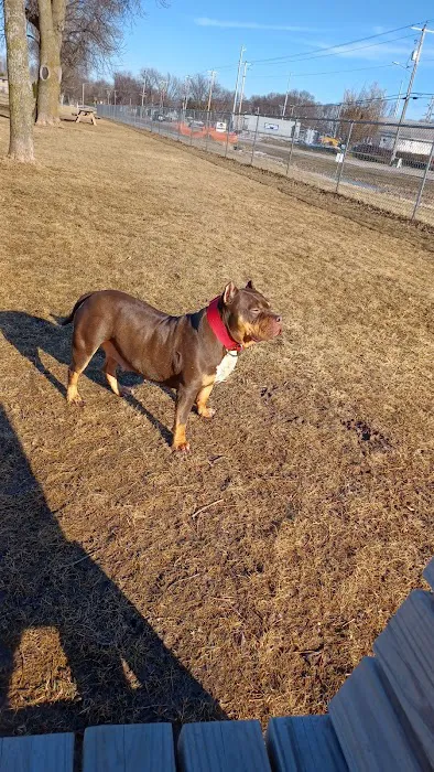 Winneconne Dog Park 10