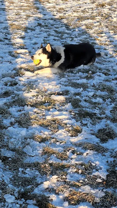 Winneconne Dog Park 6