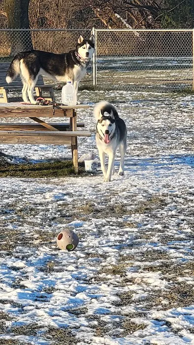 Winneconne Dog Park 9