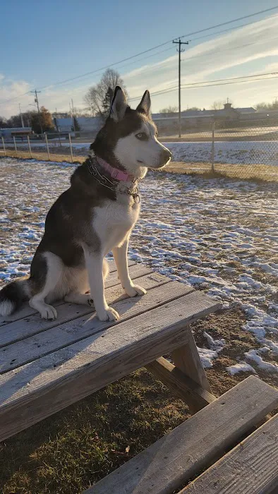 Winneconne Dog Park 5