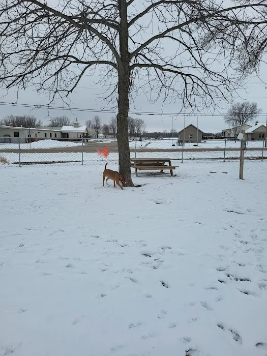 Winneconne Dog Park 3