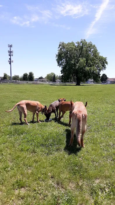 Neenah Dog Park 3