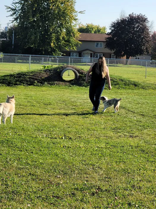 Neenah Dog Park 9
