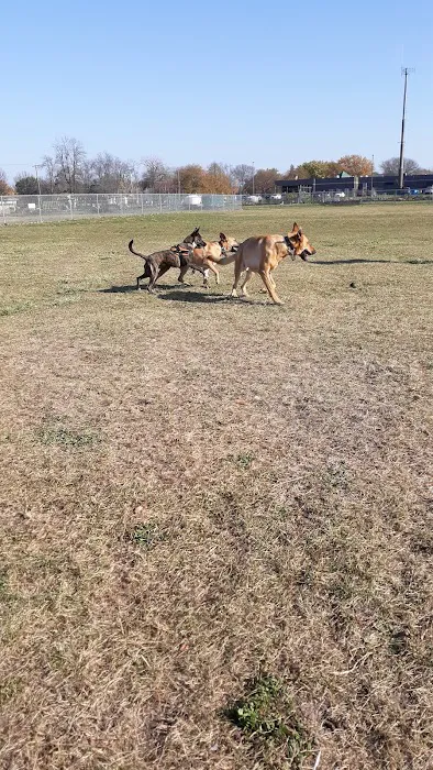 Neenah Dog Park 4