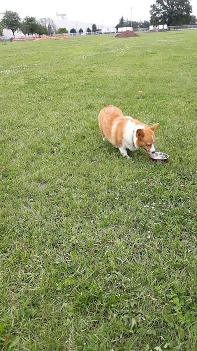 Neenah Dog Park 1