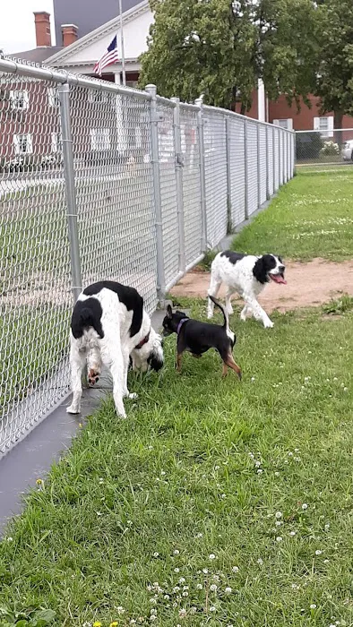 Neenah Dog Park 6
