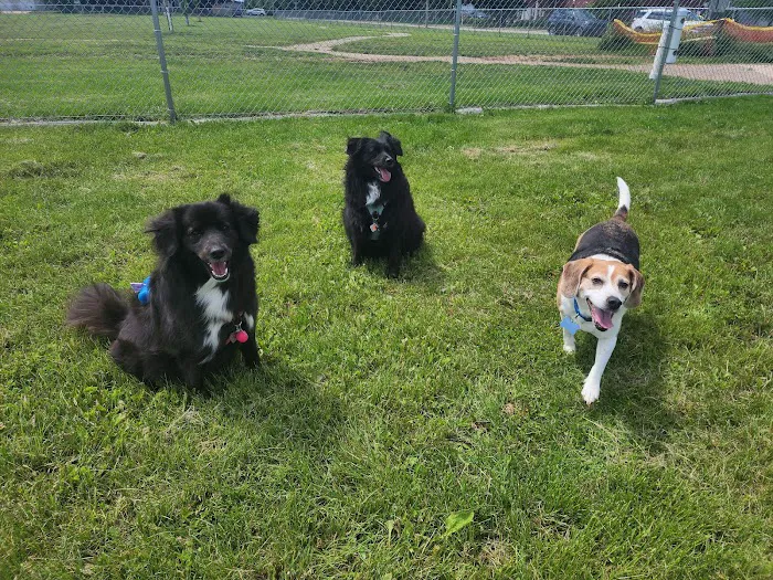 Neenah Dog Park 7