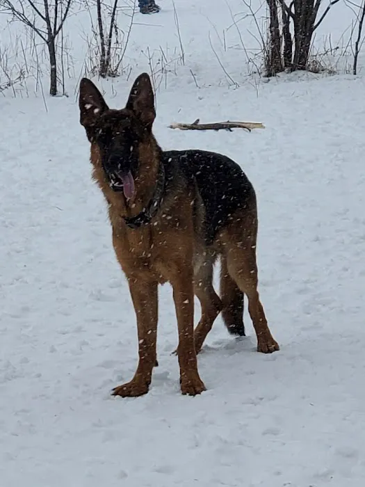 Outagamie County Dog Park 4