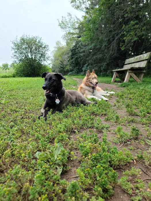 Outagamie County Dog Park 6
