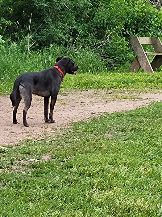Outagamie County Dog Park 5