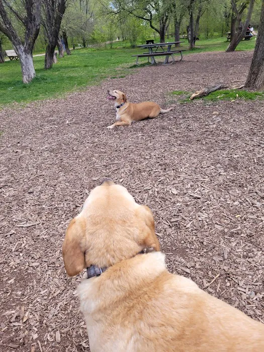 Outagamie County Dog Park 9