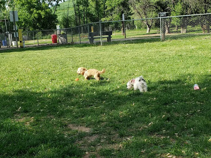 Outagamie County Dog Park 7