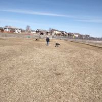 Scentral Bark Dog Park ico