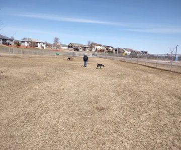 Scentral Bark Dog Park