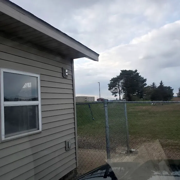 Shamrock dog park 2