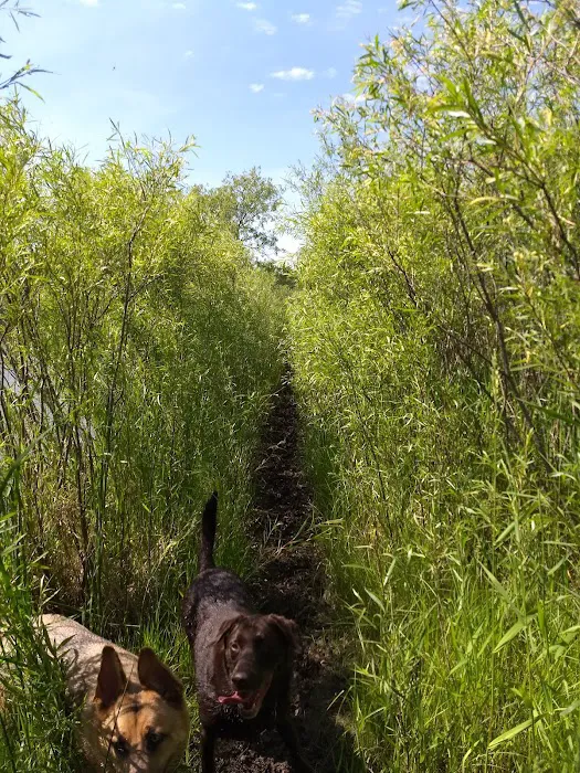 Kaukauna Dog Park 6
