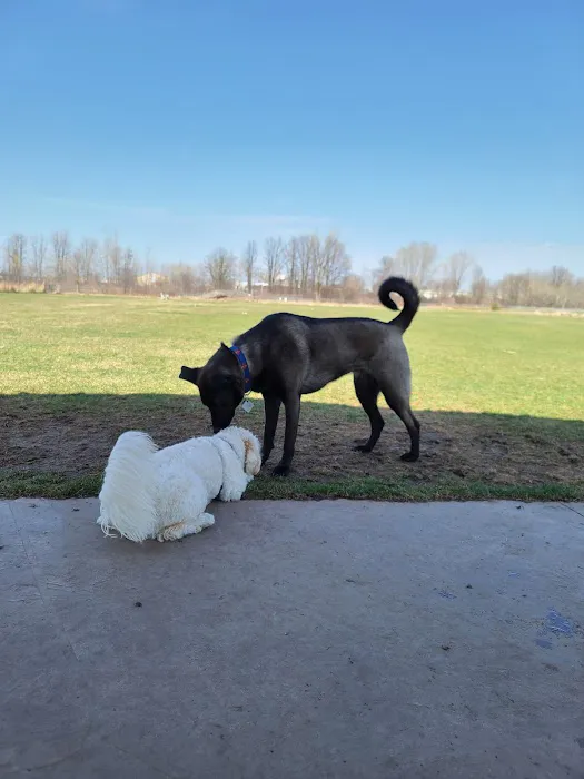 Kaukauna Dog Park 5