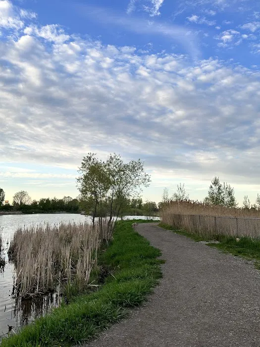Kaukauna Dog Park 10