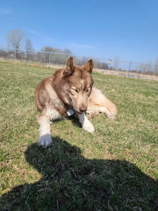 Kaukauna Dog Park 7