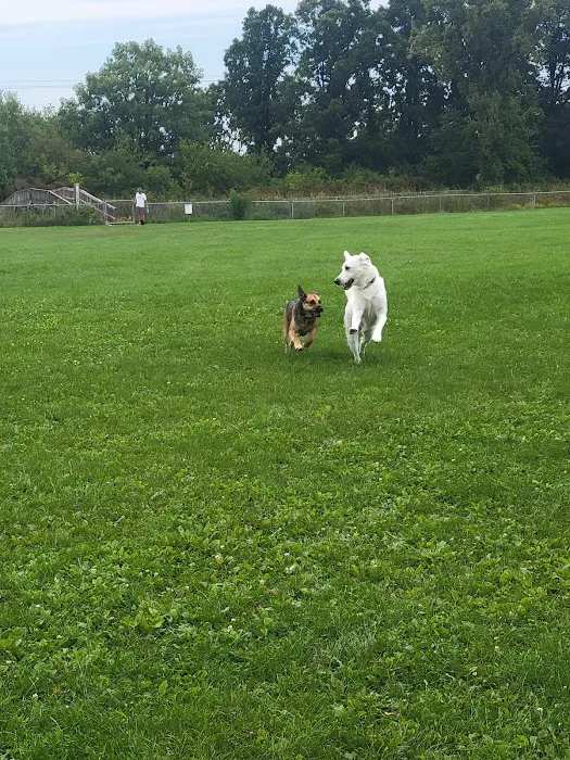 Kaukauna Dog Park 9