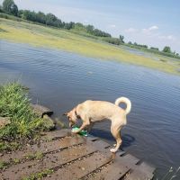 Kaukauna Dog Park ico