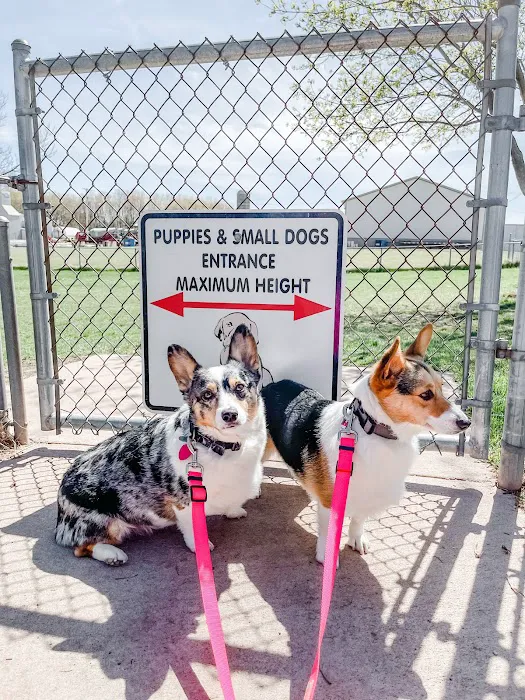 Kaukauna Dog Park 4