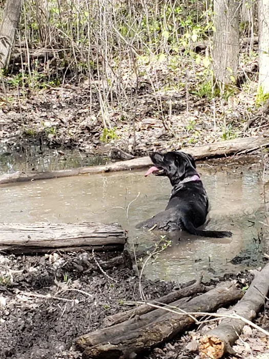 De Pere Dog Park 3