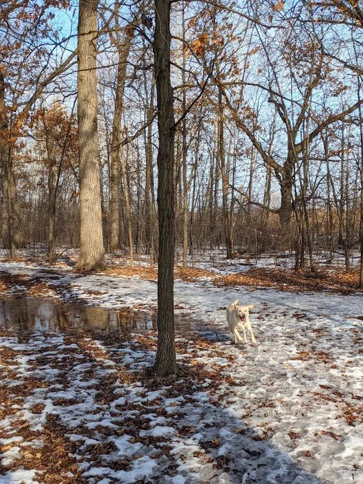 De Pere Dog Park 1