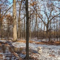 De Pere Dog Park ico