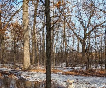 De Pere Dog Park