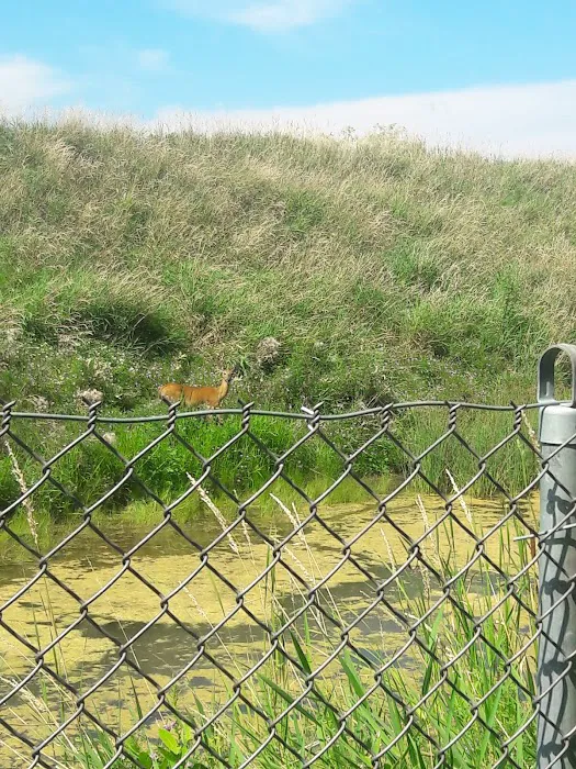 De Pere Dog Park 8
