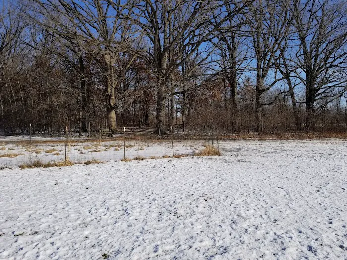 De Pere Dog Park 10