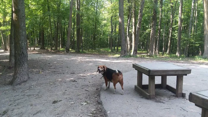 Brown County Dog Park 1