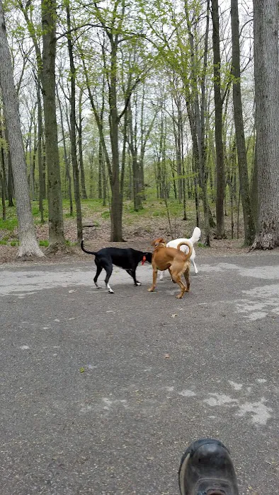 Brown County Dog Park 2