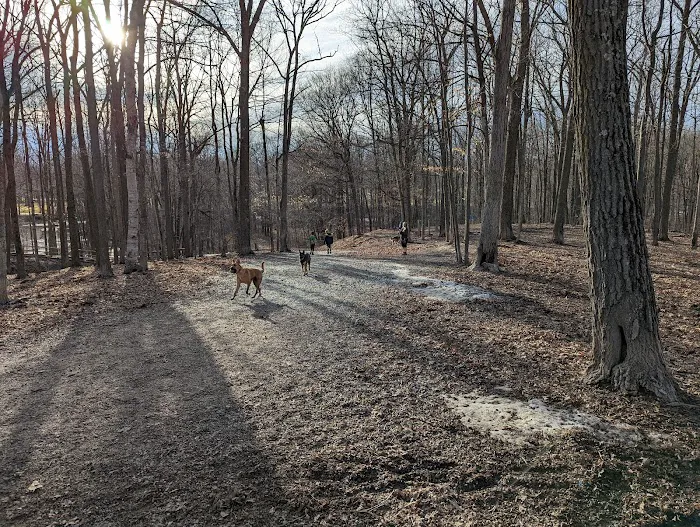 Brown County Dog Park 4