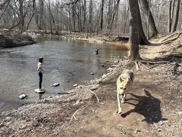 Brown County Dog Park 3