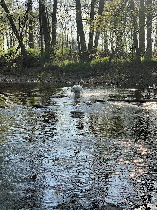 Brown County Dog Park 9