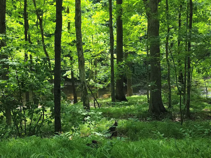 Brown County Dog Park 6