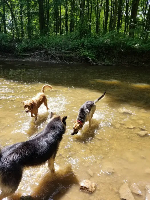 Brown County Dog Park 5