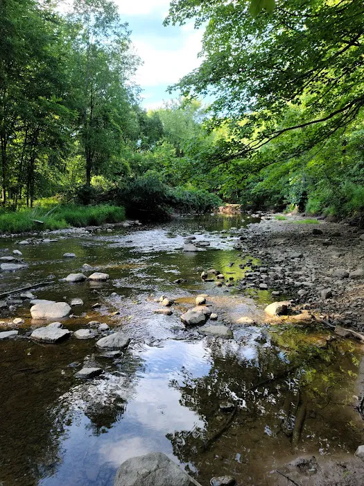 Brown County Dog Park 10