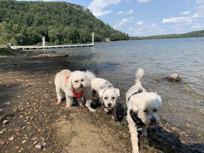 Devil's Lake Pet Swim Area 6