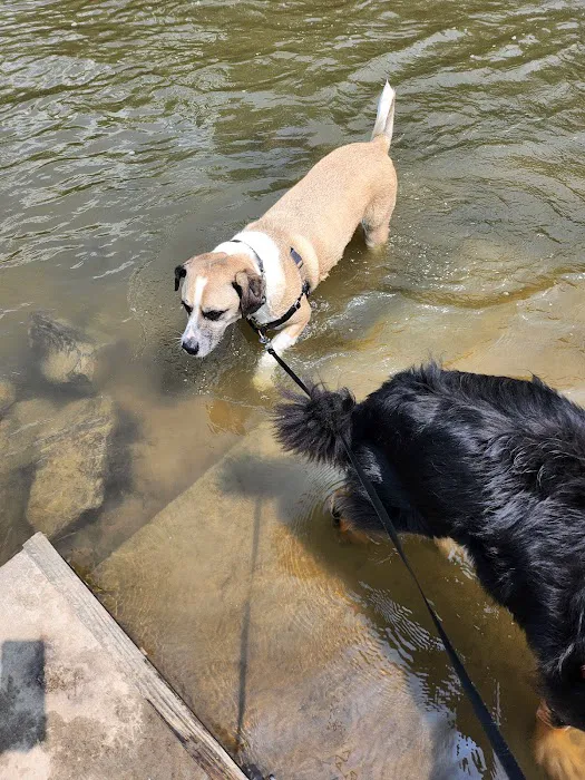 Liston Dog Park 1