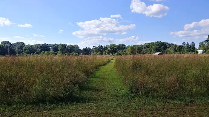 Spring Green Dog Park 6